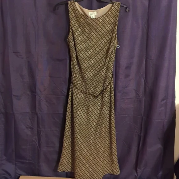 Ann Taylor LOFT dress - Picture 1 of 7